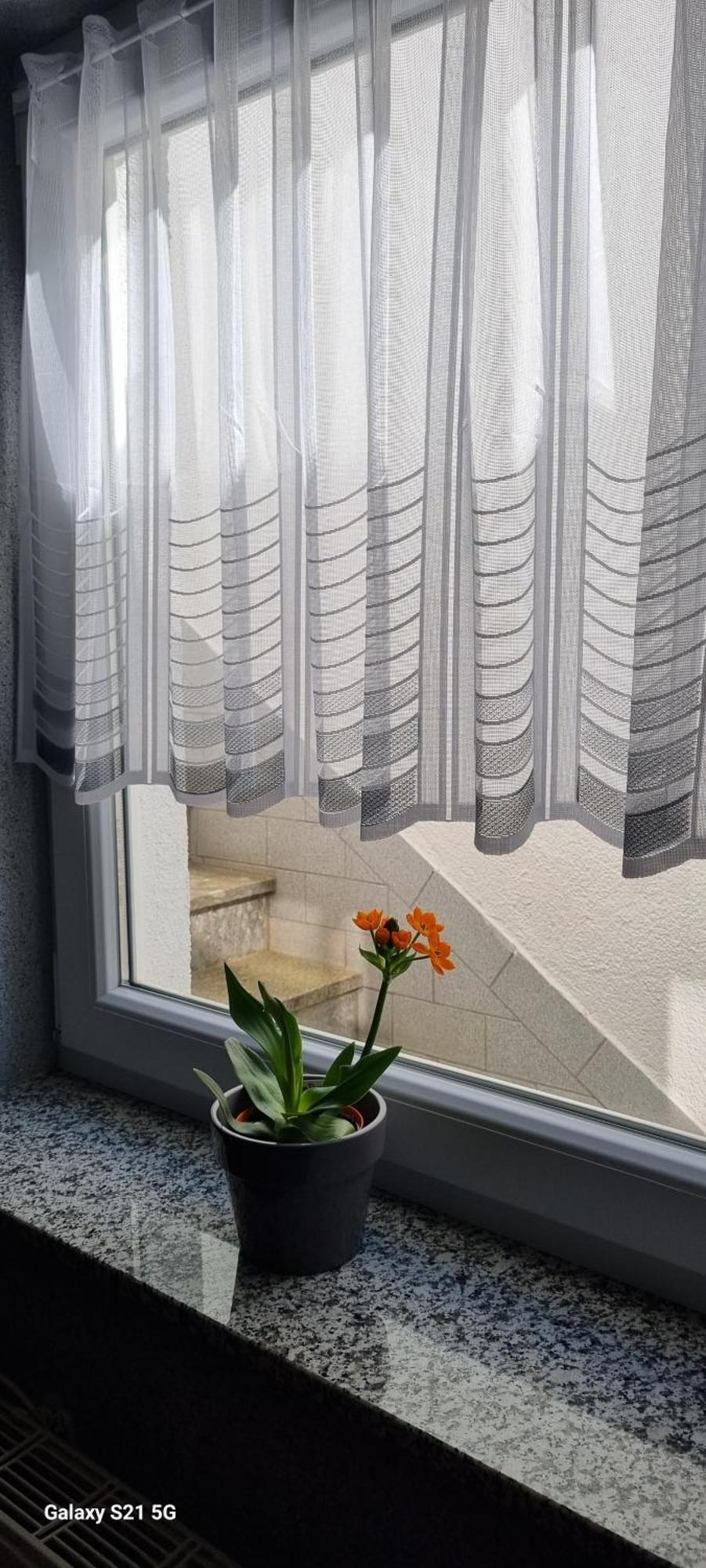 Ferienwohnung Elefanten Balingen Kültér fotó