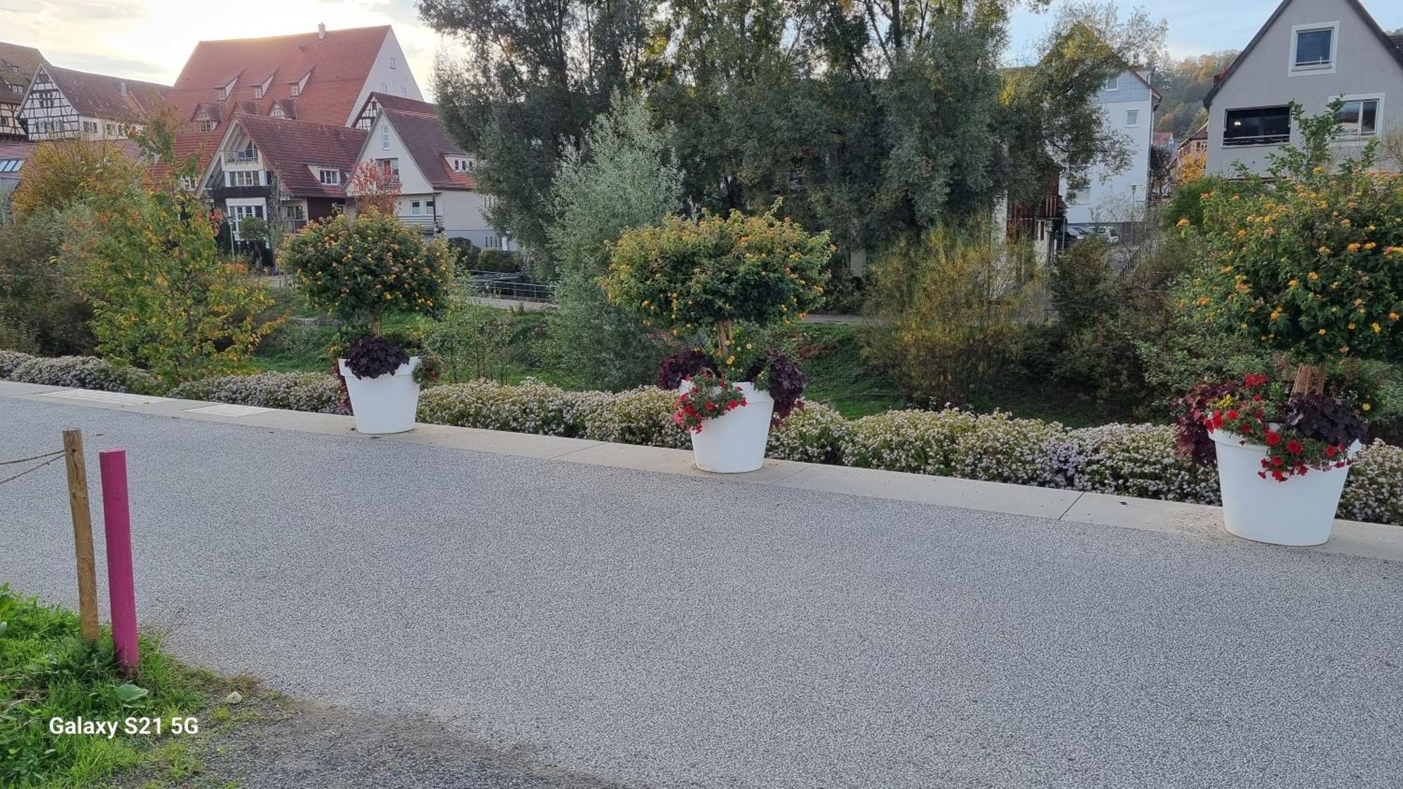 Ferienwohnung Elefanten Balingen Kültér fotó